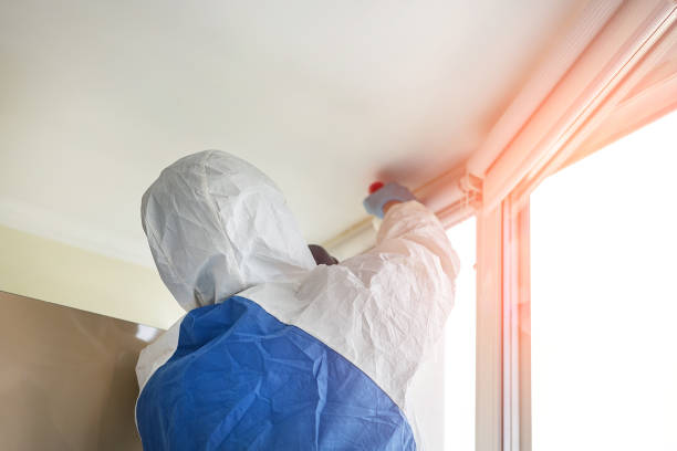 Best Commercial Mold Inspection  in USA